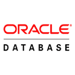 Oracle database logo Oracle database logo